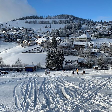 Haus Am Sonnenberg,Todtnauberg, Ferienwohnung 002, Direkt Am Skilift-Skipiste, Naehe Feldberg Eksteriør billede