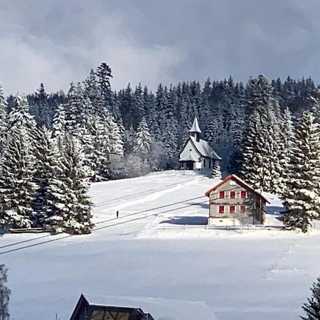 Haus Am Sonnenberg,Todtnauberg, Ferienwohnung 002, Direkt Am Skilift-Skipiste, Naehe Feldberg Eksteriør billede