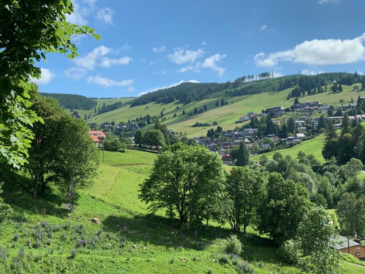 Haus Am Sonnenberg,Todtnauberg, Ferienwohnung 002, Direkt Am Skilift-Skipiste, Naehe Feldberg Eksteriør billede