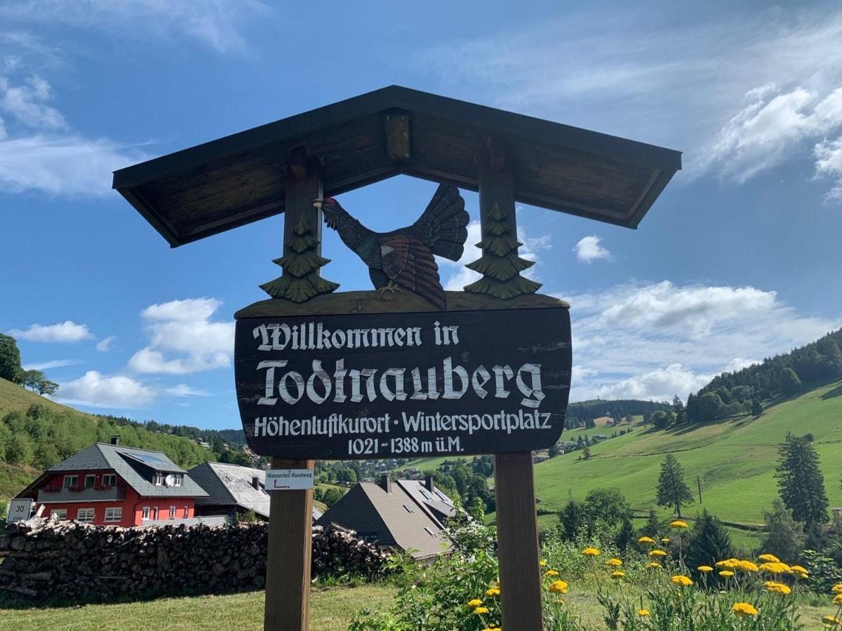 Haus Am Sonnenberg,Todtnauberg, Ferienwohnung 002, Direkt Am Skilift-Skipiste, Naehe Feldberg Eksteriør billede