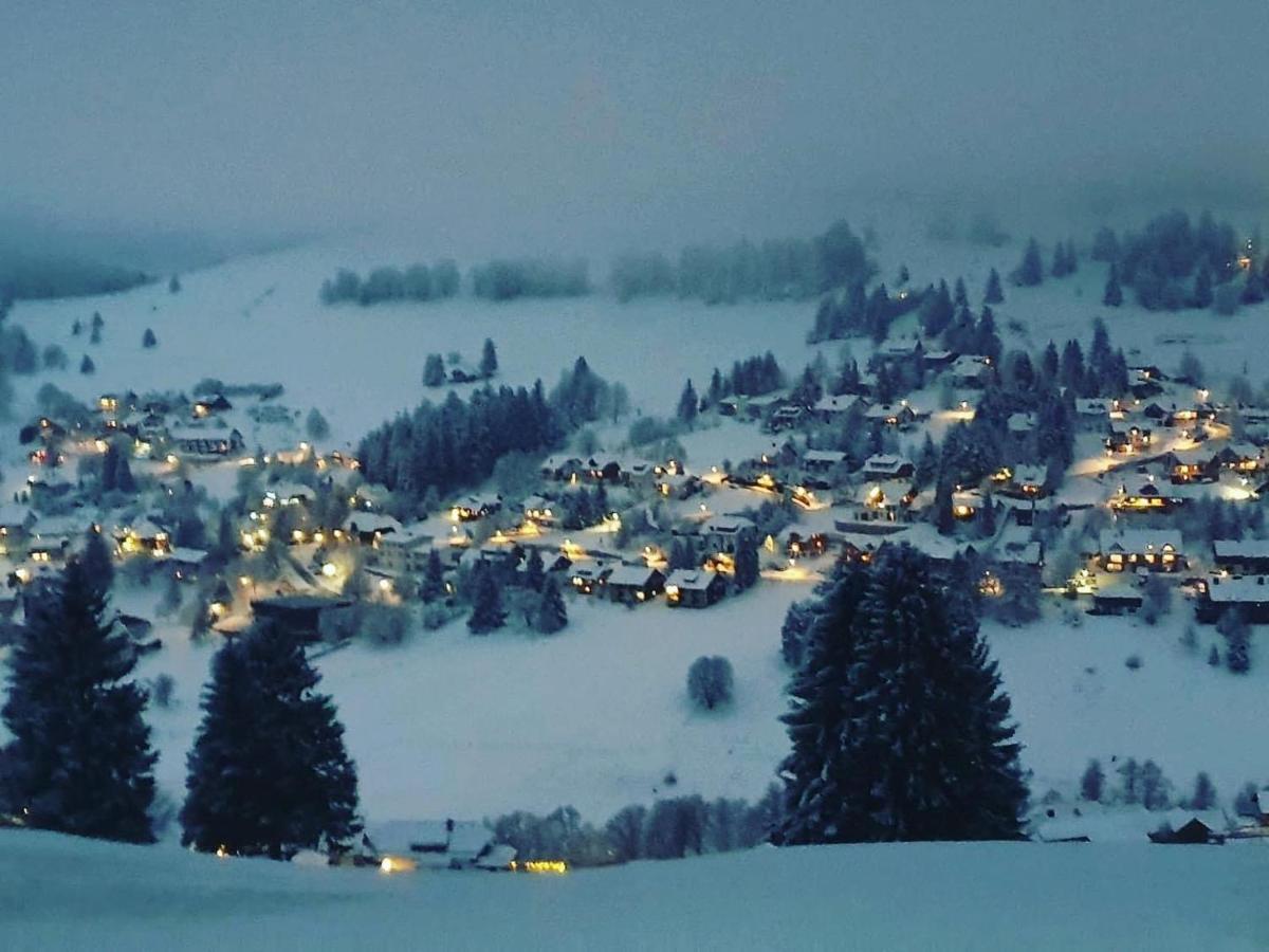 Haus Am Sonnenberg,Todtnauberg, Ferienwohnung 002, Direkt Am Skilift-Skipiste, Naehe Feldberg Eksteriør billede