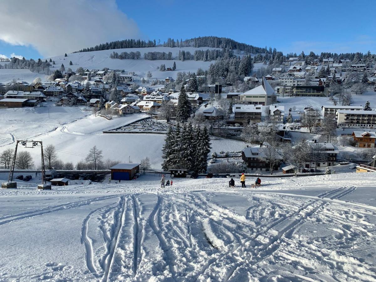 Haus Am Sonnenberg,Todtnauberg, Ferienwohnung 002, Direkt Am Skilift-Skipiste, Naehe Feldberg Eksteriør billede