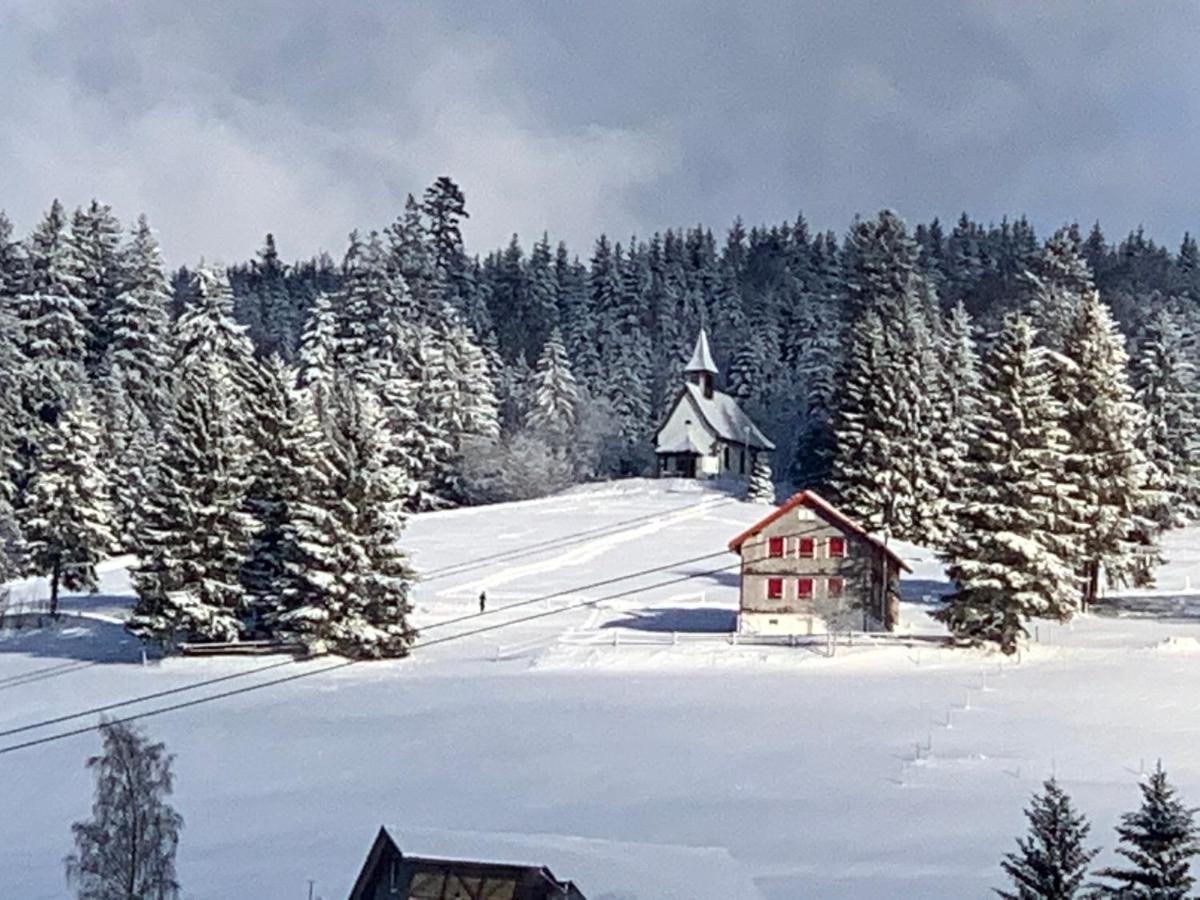Haus Am Sonnenberg,Todtnauberg, Ferienwohnung 002, Direkt Am Skilift-Skipiste, Naehe Feldberg Eksteriør billede