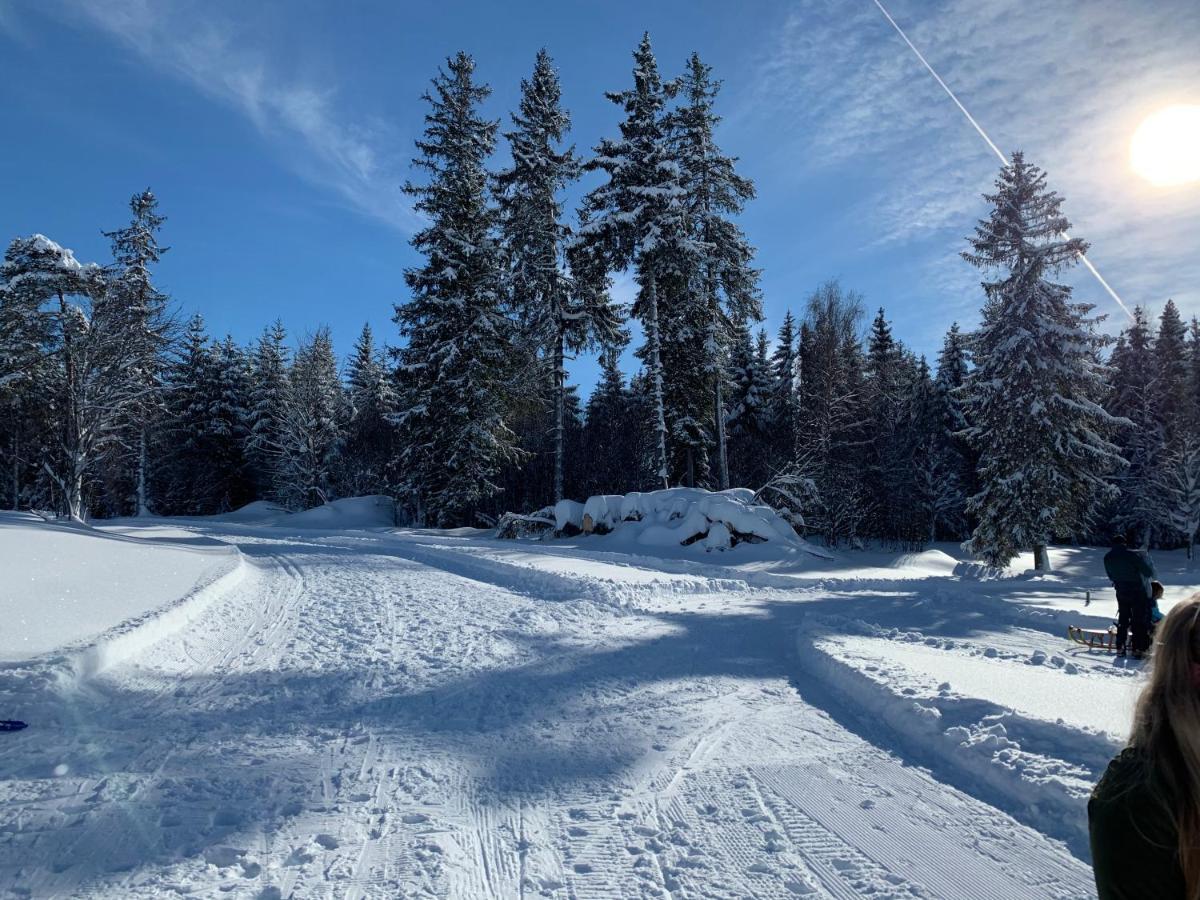 Haus Am Sonnenberg,Todtnauberg, Ferienwohnung 002, Direkt Am Skilift-Skipiste, Naehe Feldberg Eksteriør billede