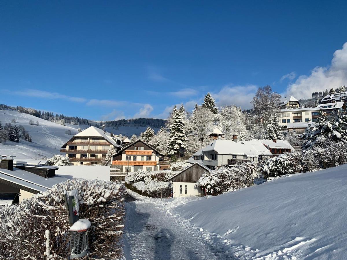 Haus Am Sonnenberg,Todtnauberg, Ferienwohnung 002, Direkt Am Skilift-Skipiste, Naehe Feldberg Eksteriør billede